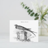Vintager Schwalbenvogel Postkarte (Stehend Vorderseite)