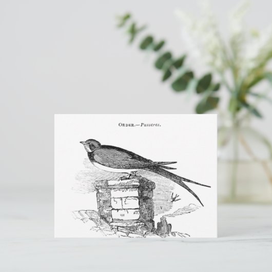 Vintager Schwalbenvogel Postkarte (Stehend Vorderseite)