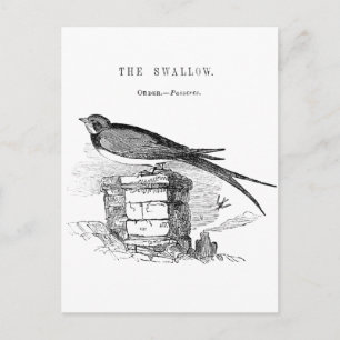 Vintager Schwalbenvogel Postkarte