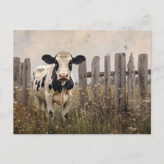 Vintager Schwarz-Weiß-Milchkuh-Stil Postkarte
