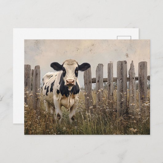 Vintager Schwarz-Weiß-Milchkuh-Stil Postkarte (Vorne/Hinten)