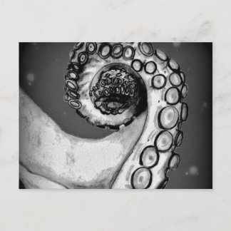 Vintager Schwarz-Weiß-Oktopus-Tentakel Postkarte