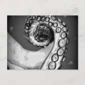 Vintager Schwarz-Weiß-Oktopus-Tentakel Postkarte (Vorderseite)