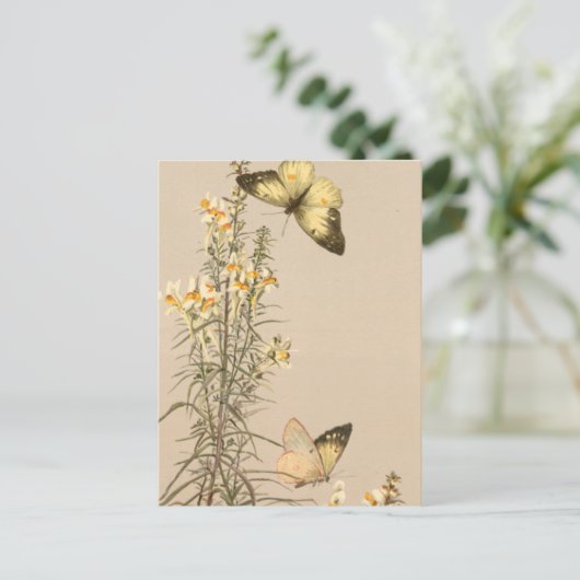 Vintager Schwarz-weißer Schmetterling Postkarte (Stehend Vorderseite)