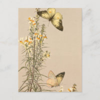 Vintager Schwarz-weißer Schmetterling