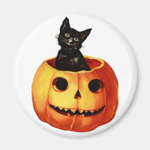 Vintager schwarze Katzen-und Kürbis-runder Magnet