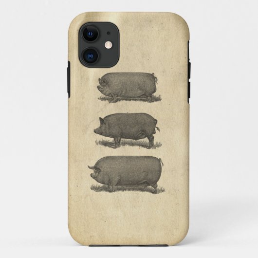 Vintager Schwein-Fall Case-Mate iPhone Hülle (Rückseite)