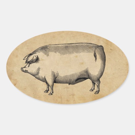 Vintager Schweinekleber Ovaler Aufkleber (Vorderseite)