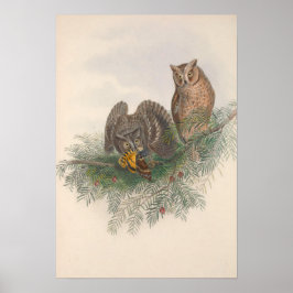 Vintager Scops-gezüchteter Vogelvogel Poster