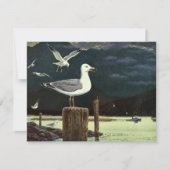 Vintager Seagull-Halssteg, Meervögel (Vorderseite)