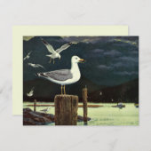 Vintager Seagull-Halssteg, Meervögel (Vorne/Hinten)