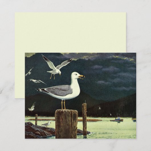 Vintager Seagull-Halssteg, Meervögel (Vorne/Hinten)