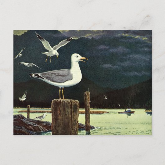 Vintager Seagull-Halssteg, Meervögel Postkarte (Vorderseite)