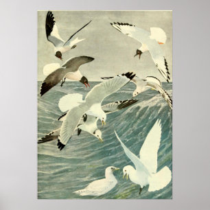 Vintager Seagull Ocean Bird Beach Poster
