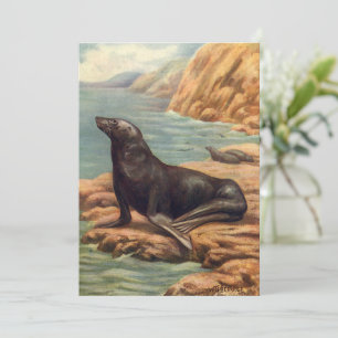 Vintager Seelöwe an der Küste, Meeressäugetiere