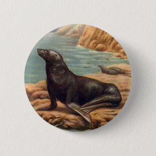 Vintager Seelöwe an der Küste, Meeressäugetiere Button