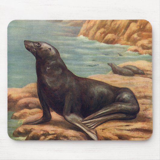 Vintager Seelöwe an der Küste, Meeressäugetiere Mousepad (Vorne)
