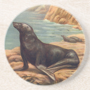 Vintager Seelöwe an der Küste, Meeressäugetiere Untersetzer