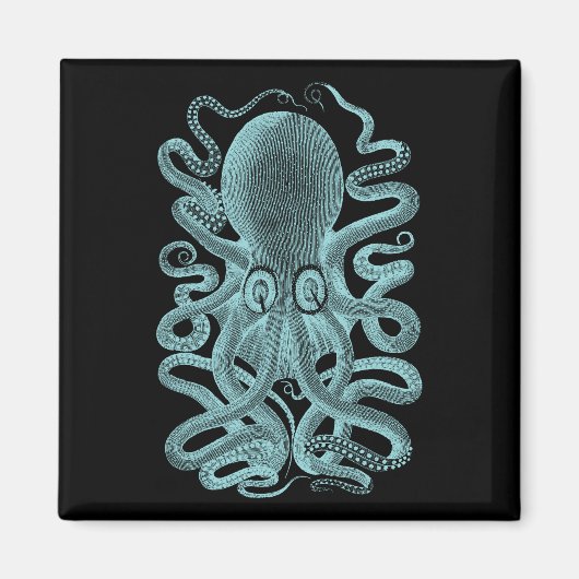 Vintager Seeoktopus Magnet (Vorne)
