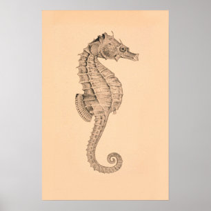 Vintager SeepferdeDiptych I Poster