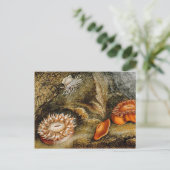 Vintager Seeverkehr Postkarte (Stehend Vorderseite)