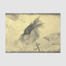 Vintager Sepia Tone Sonnenblumengrunge Textur
