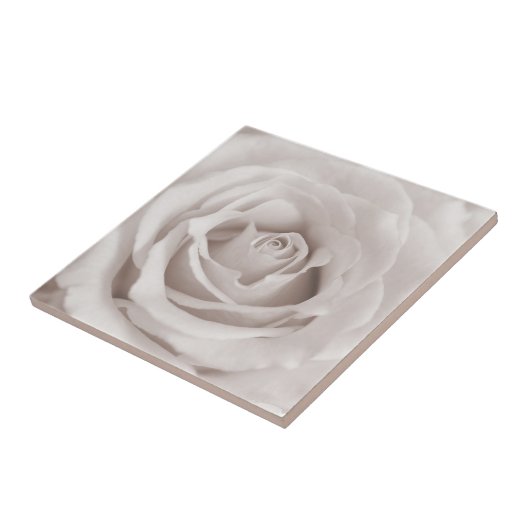 Vintager Sepia-weiße u. Fliese (Seite)