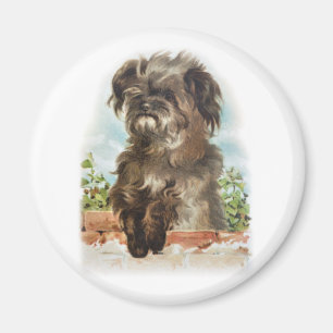 Vintager shaggy Hund Magnet