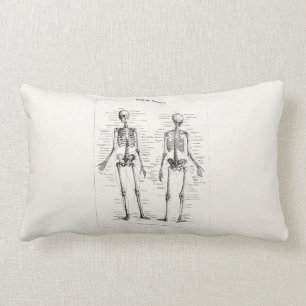 Vintager Skeleton menschlicher Anatomie-Knochen Lendenkissen