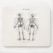 Vintager Skeleton menschlicher Anatomie-Knochen Mousepad (Vorne)