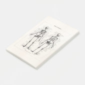 Vintager Skeleton menschlicher Anatomie-Knochen Post-it Klebezettel (angewinkelt)