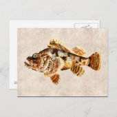 Vintager Skorpion Fisch Antiker Hawaii Zeichnend Postkarte (Vorne/Hinten)