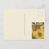 Vintager Sonnenblumenherbst Save the Date Postkarte (Rückseite)