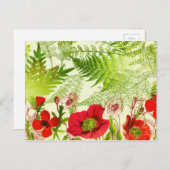 Vintager Sonnenschein blühende Poppies floral Postkarte (Vorne/Hinten)