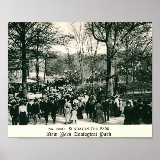 Vintager Sonntag im Zoo von Bronx Poster (Vorne)