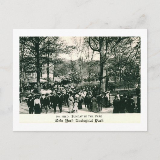 Vintager Sonntag im Zoo von Bronx Postkarte (Vorderseite)