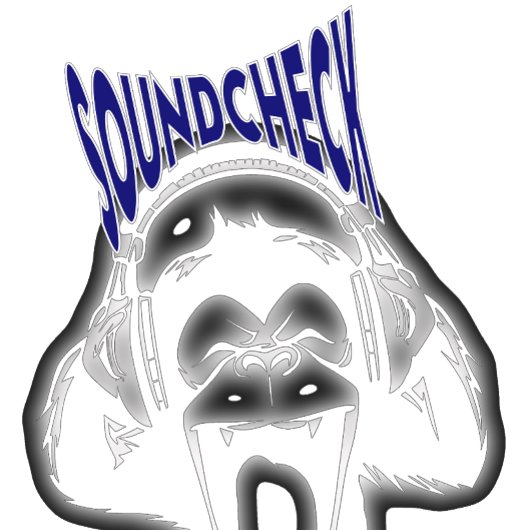 Vintager Soundcheck T-Shirt