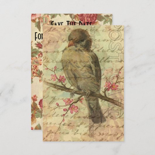 Vintager Spargel Save the Date (Vorne/Hinten)