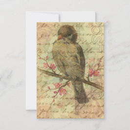 Vintager Spargel Save the Date