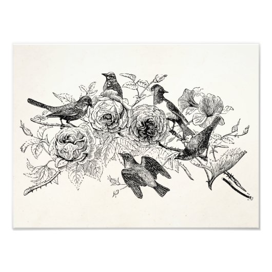 Vintager Sparrow Birds Personalisierter Sparrows B Fotodruck (Vorne)
