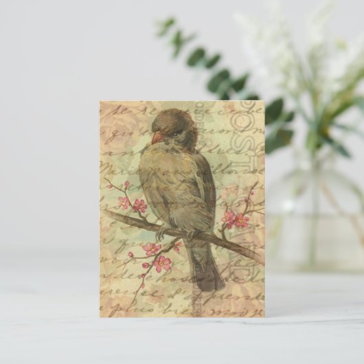 Vintager Spatz Postkarte (Stehend Vorderseite)