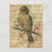 Vintager Spatz Postkarte (Vorderseite)