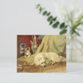 Vintager Spitz Hund Kittens Wright Barker Postkarte (Stehend Vorderseite)