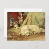 Vintager Spitz Hund Kittens Wright Barker Postkarte (Vorne/Hinten)