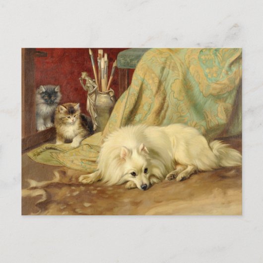 Vintager Spitz Hund Kittens Wright Barker Postkarte (Vorderseite)