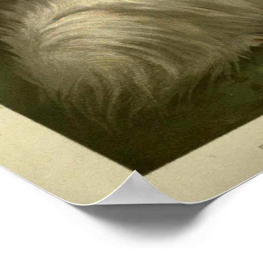 Vintager Spitz und maltesische Hundemalerei Poster (Ecke)