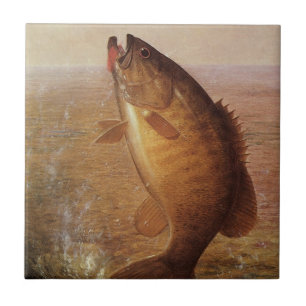Vintager Sportfisch, Largemouth Brown Bass Fish Fliese