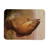 Vintager Sportfisch, Largemouth Brown Bass Fish Magnet (Horizontal)