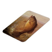Vintager Sportfisch, Largemouth Brown Bass Fish Magnet (Linke Seite)