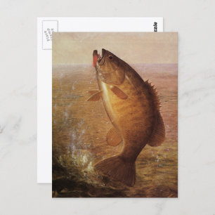 Vintager Sportfisch, Largemouth Brown Bass Fish Postkarte